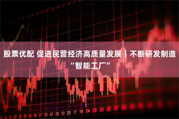 股票优配 促进民营经济高质量发展｜不断研发制造“智能工厂”