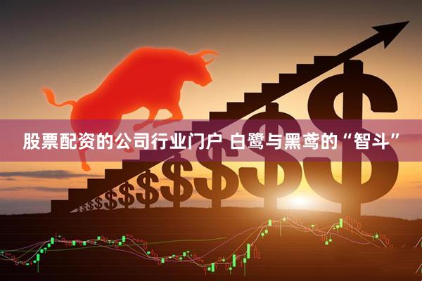 股票配资的公司行业门户 白鹭与黑鸢的“智斗”