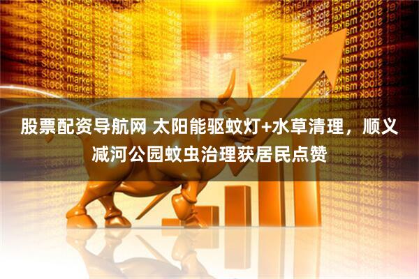 股票配资导航网 太阳能驱蚊灯+水草清理，顺义减河公园蚊虫治理获居民点赞