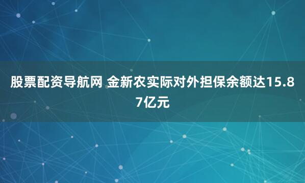 股票配资导航网 金新农实际对外担保余额达15.87亿元